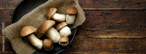 Fresh forest mushrooms /Boletus edulis (king bolete) / penny bun / cep / porcini in an old bowl / plate on the wooden dark brown table, top view background banner panorama photo