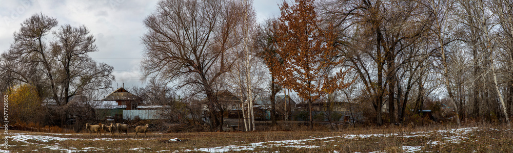 Allphotokz Taldykorgan Nature 20141111 1572 5DM3 PS1 Allphotokz Taldykorgan Nature 20141111 1572 5DM3 PS1