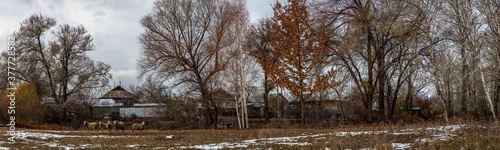 Allphotokz Taldykorgan Nature 20141111 1572 5DM3 PS1