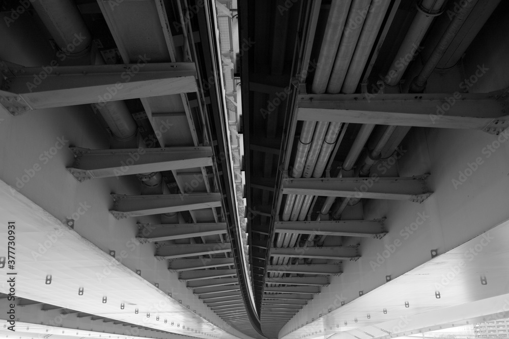 Obraz premium Rainbow Bridge, Tokyo, Japan