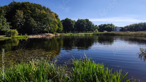Fototapeta Naklejka Na Ścianę i Meble -  Perfect lake in the city park
