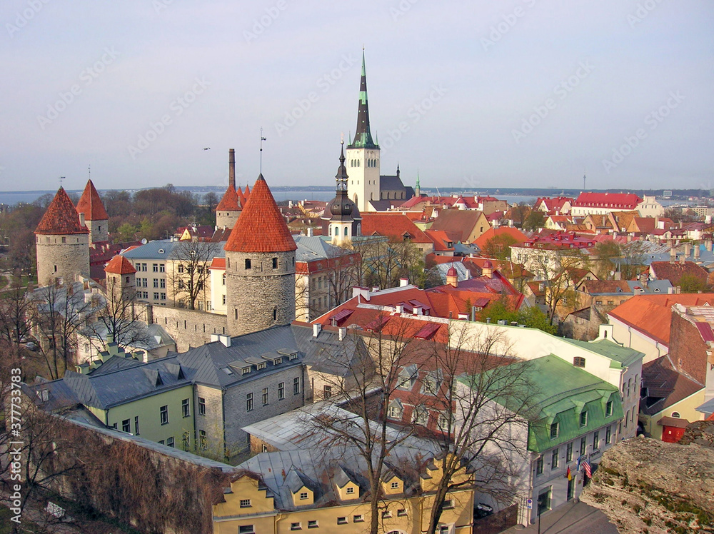 Obraz premium Panorama of an Old Town of Tallinn