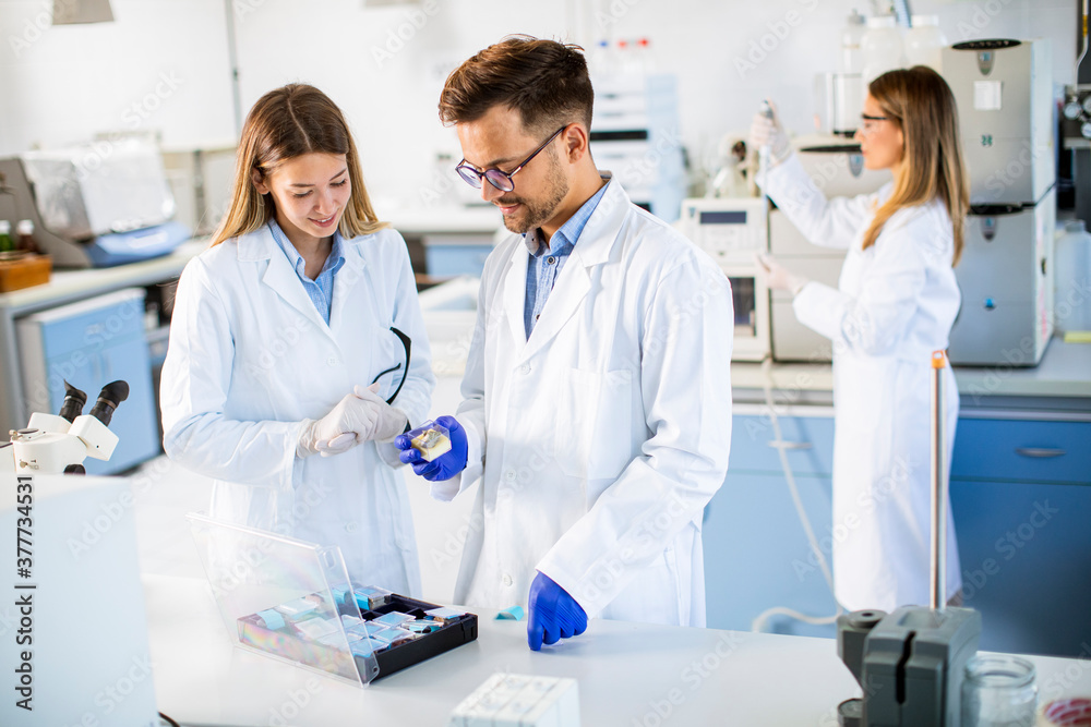 Group of young researchers analyzing chemical data in the laboratory Group of young researchers analyzing chemical data in the laboratory