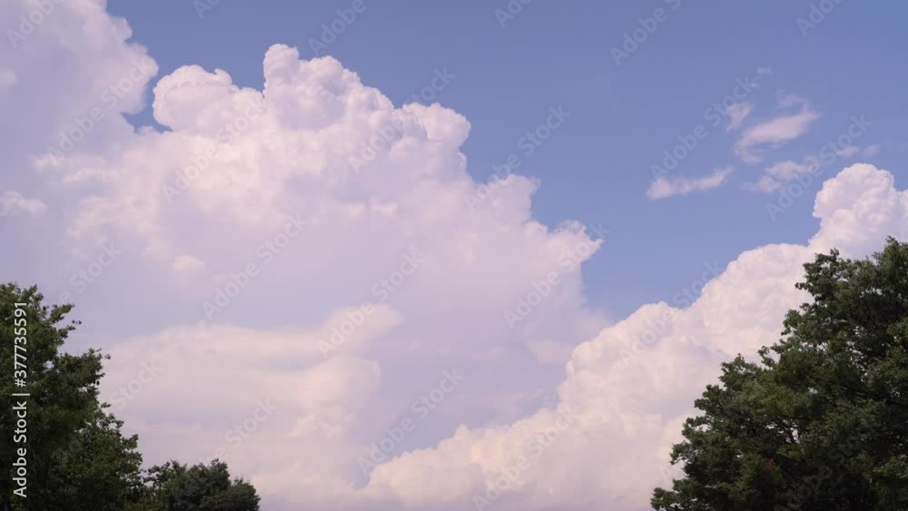 Beautiful white cumulus clouds framed in between two trees on blue sunny summer day - Locked off view Beautiful white cumulus clouds framed in between two trees on blue sunny summer day - Locked off view