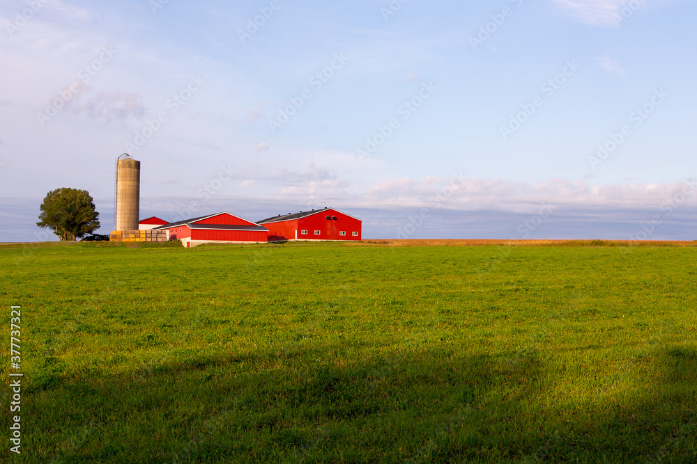 Horizontal view of a St. François village farm with bright orange buildings and tall silo seen during a summer morning, Island of Orleans, Quebec, Canada