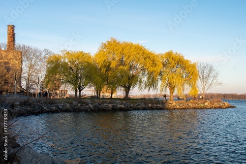Looking Over a Small Part of the Deleware River at the Trees at the Newly Renovated Penn Treaty Park