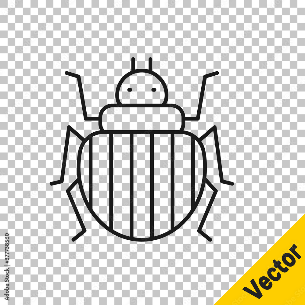 Black line Colorado beetle icon isolated on transparent background. Vector. Black line Colorado beetle icon isolated on transparent background. Vector.