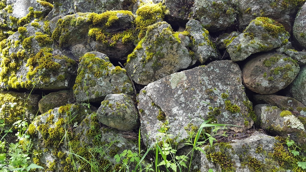 muro de piedra y musgo