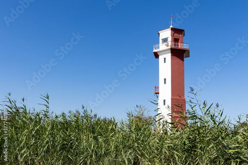 lighthouse in the reeds against the blue sky