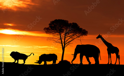 Silhouettes of African animals on the background of a sunset in the savanna, collage © vesta48