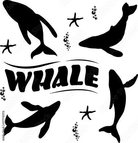 Black and white illustration with sea animals. Vector drawing with whales