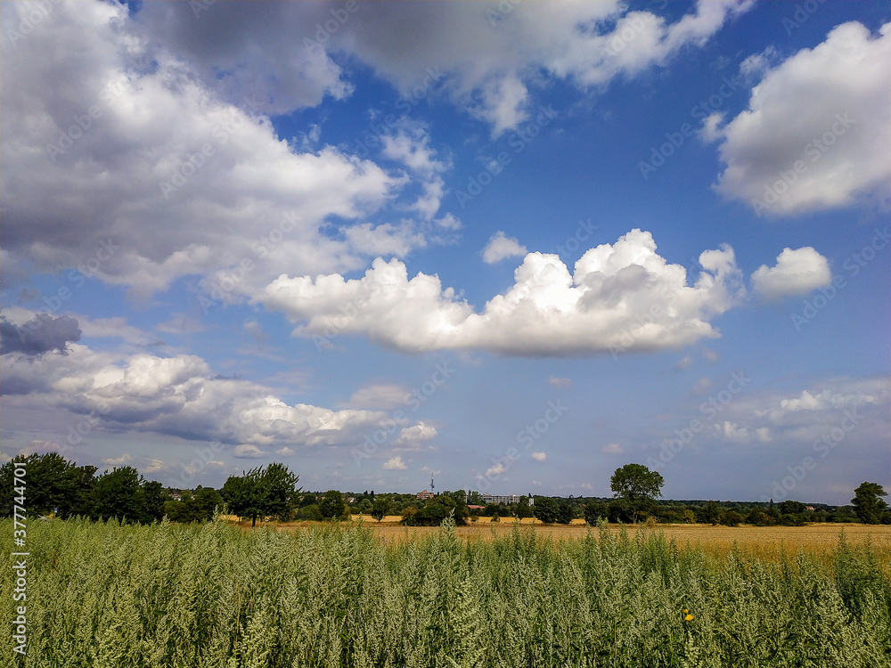 Fototapeta premium Kronsberg-Hannover