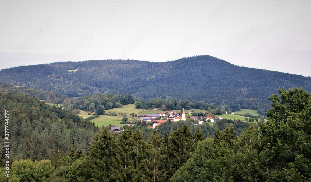 Bayerischer Wald