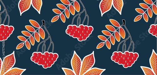 A pattern of autumn leaves and bunches of rowan. Vector ornament.