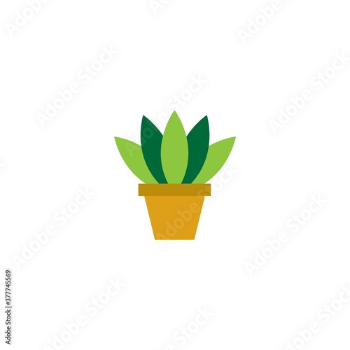 Cactus icon flat design