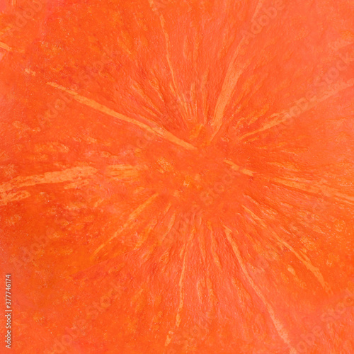 Autumn Pumpkin Thanksgiving Background - orange pumpkins texture, close up.