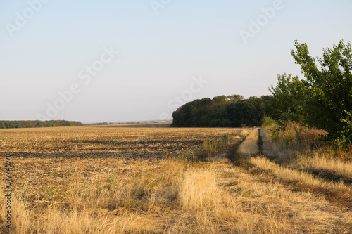Autumn view. Harvested field. Countryside landscape 