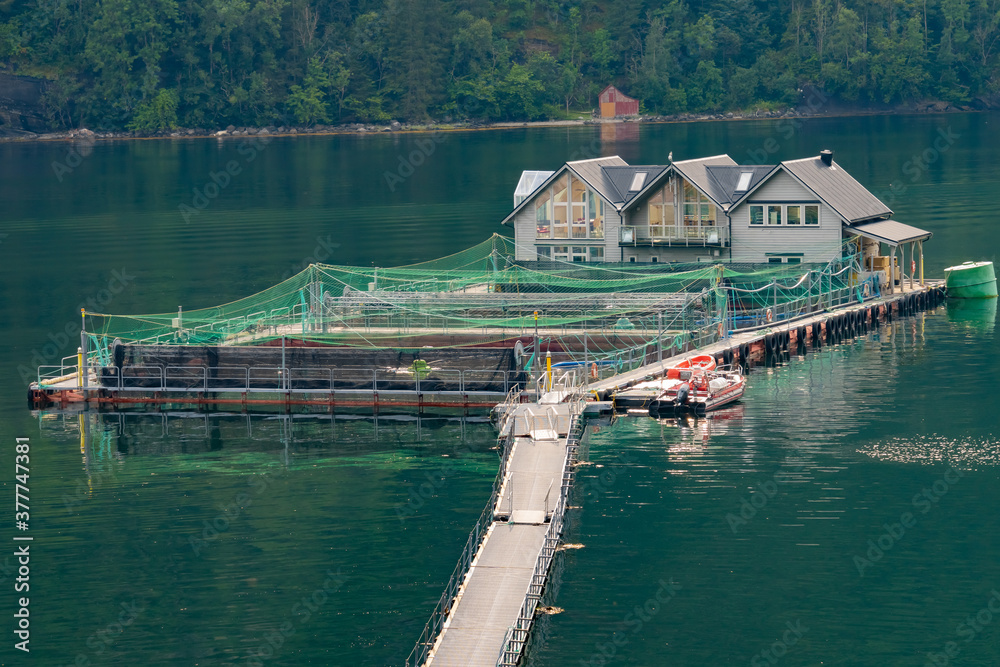 World renowned salmon fish farms on the pristine waters and breathtaking landscapes along the Hardanger Fjord, Western Norway