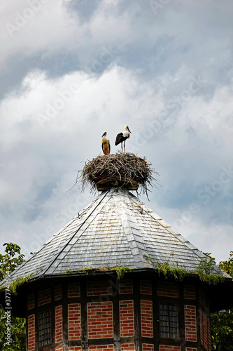 Storchennest in Rühstädt in der Prignitz