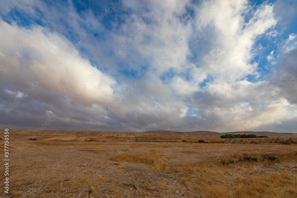 Majestic wide panorama of morning clouds over Negev desert