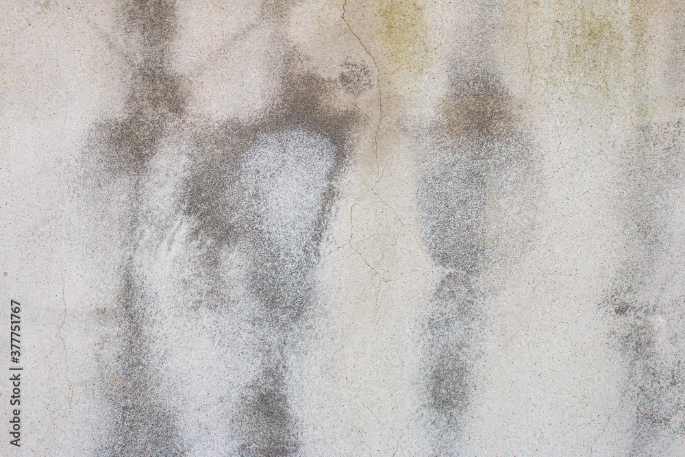Fototapeta premium concrete texture for background. Old Stone wall background.