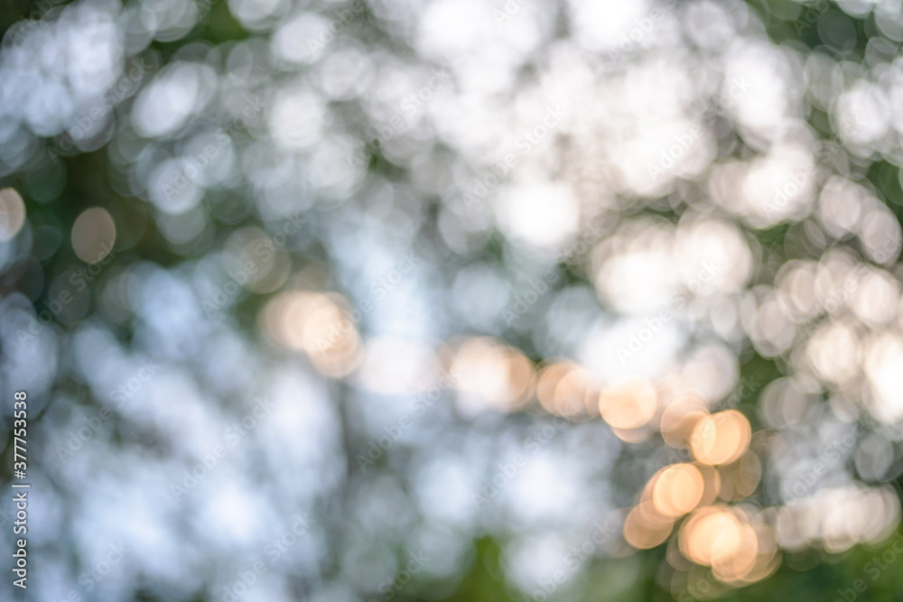 Spring light bokeh and blur for background design Spring light bokeh and blur for background design