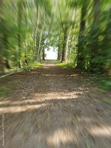 road to light