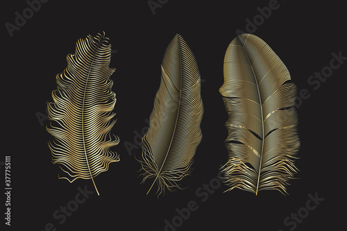 Vecto gold feathers collection, set of different falling fluffy twirled feathers on a white background.