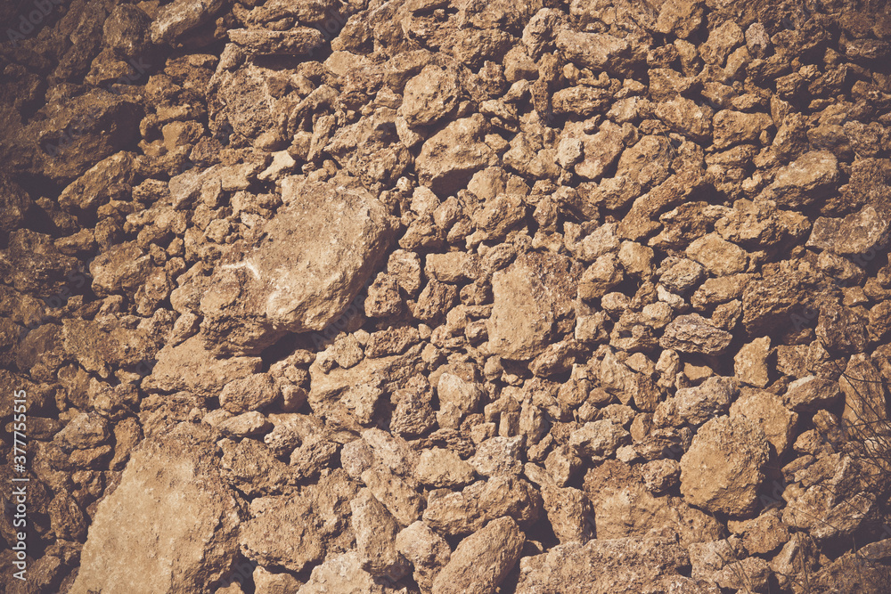 Background natural stone shell rock Background natural stone shell rock