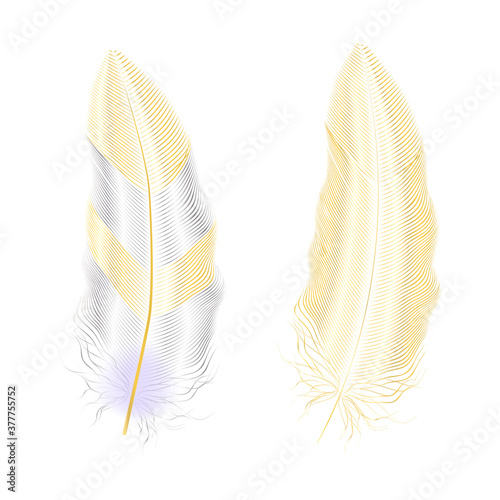 Silver and gold glitter feathers.Boho style elements,tattoo template.