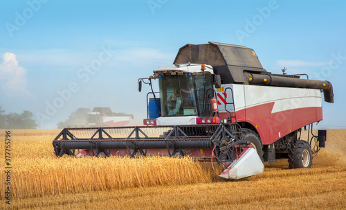 Combine harvesting working on the field