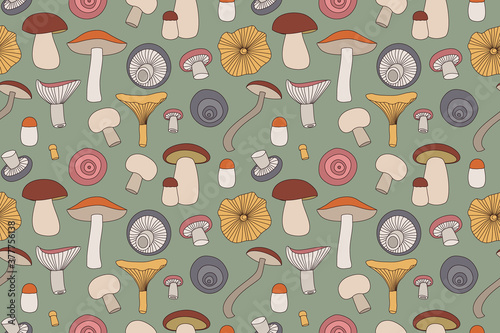 seamless pattern with edible mushrooms, color vector illustration.