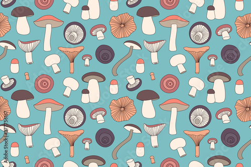 seamless pattern with edible mushrooms, color vector illustration.