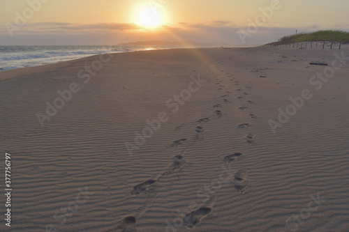 Footprints on the sand during a sunset