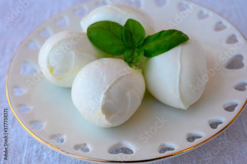 Fresh soft white italian cheese mozzarella buffalo made from Italian buffalo s milk by pasta filata method