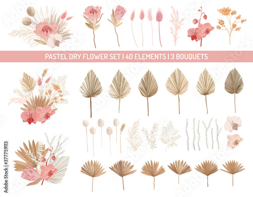 Elegant dry protea flowers, palm leaves, pale orchid, eucalyptus, dried tropical leaves, floral elements.Trendy winter, autumn wedding bouquets, vintage decoration. Vector isolated illustration set