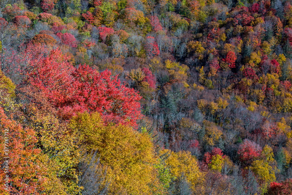 Autumn in the Great Smoky Mountains National Park Autumn in the Great Smoky Mountains National Park