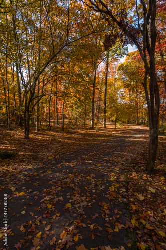 Autumn in East Tennessee