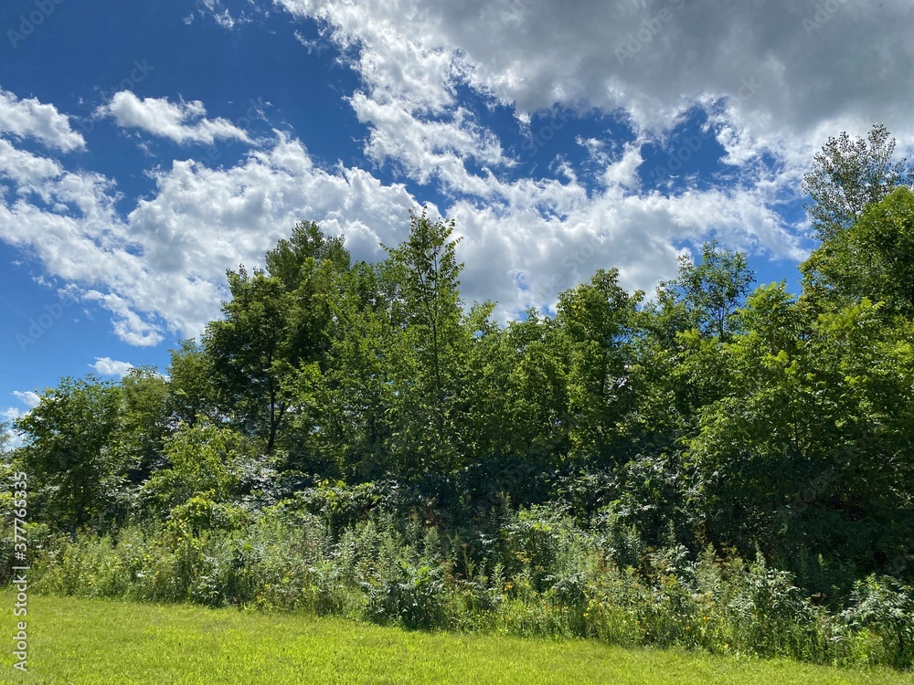 Minnesota Scenic Landscape in the Summer Time