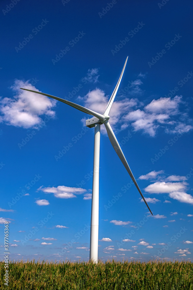 Wind turbines generating electricity Wind turbines generating electricity