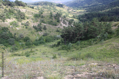 landscape in the summer