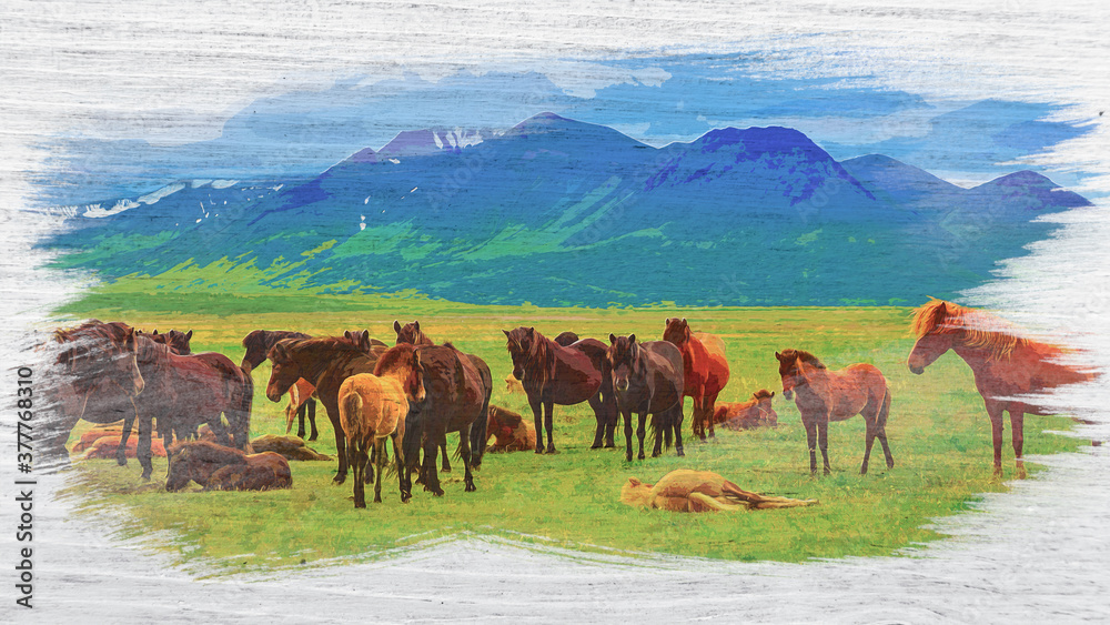 Fototapeta premium Herd of horses in the mountains in Iceland, watercolor painting