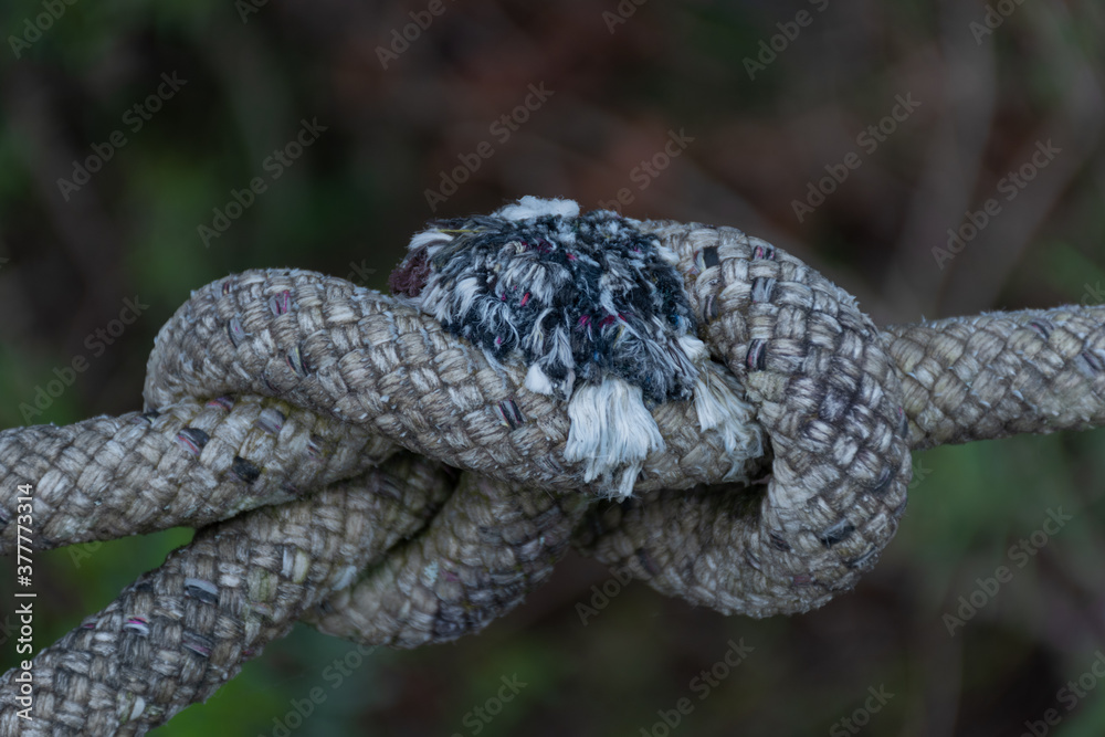Nudo de cuerdas viejas que las une Stock Photo Adobe Stock