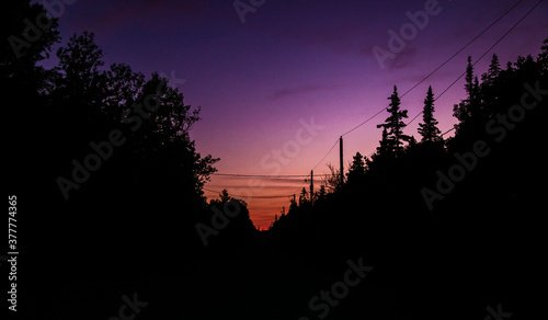Sunset Silhouette on Forest in Tobermory, Bruce Peninsula, Canada