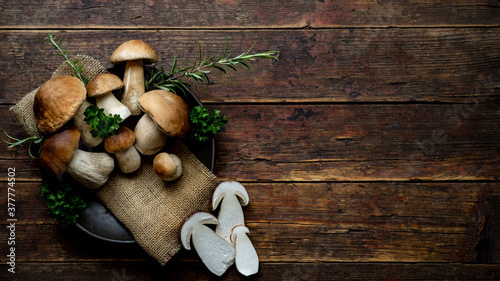 Fresh forest mushrooms /Boletus edulis (king bolete) / penny bun / cep / porcini / mushroom in an old bowl / plate and rosemary parsley herbs on the wooden dark brown table, top view background photo