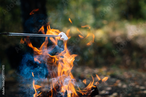 Marshmallow on a skewer on a campfire on vacation