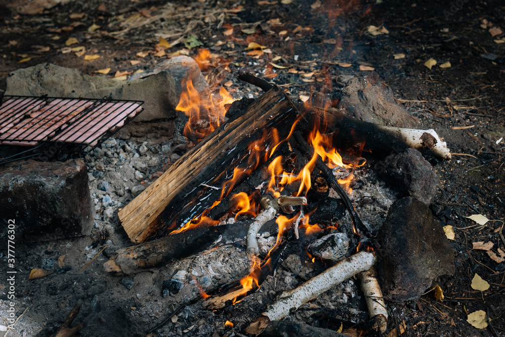 Grilled sausages on a campfire on vacations Grilled sausages on a campfire on vacations