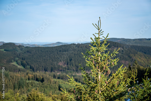 Landschaft und Ausblick von Winterberg