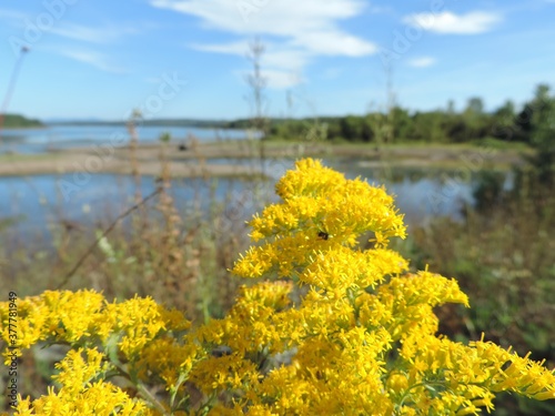 apres-midi au parc de la Yamaska photo