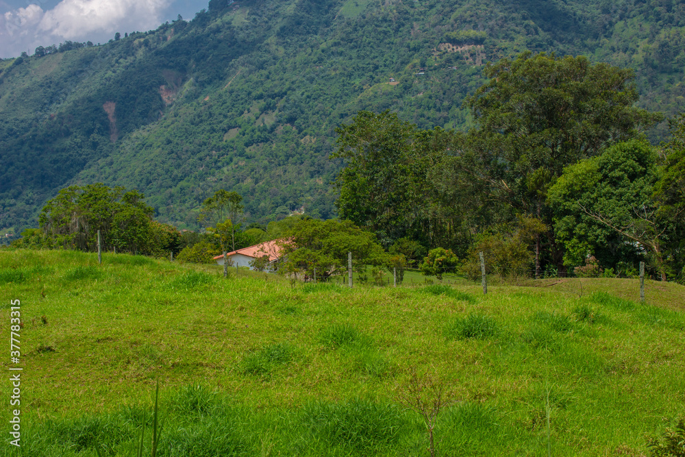 Obraz premium Colombian landscapes. Green mountains in Colombia, Latin America